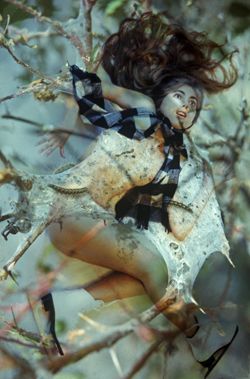 Girls in the Trees - Limited Edition Photographic Art by Christopher Strong